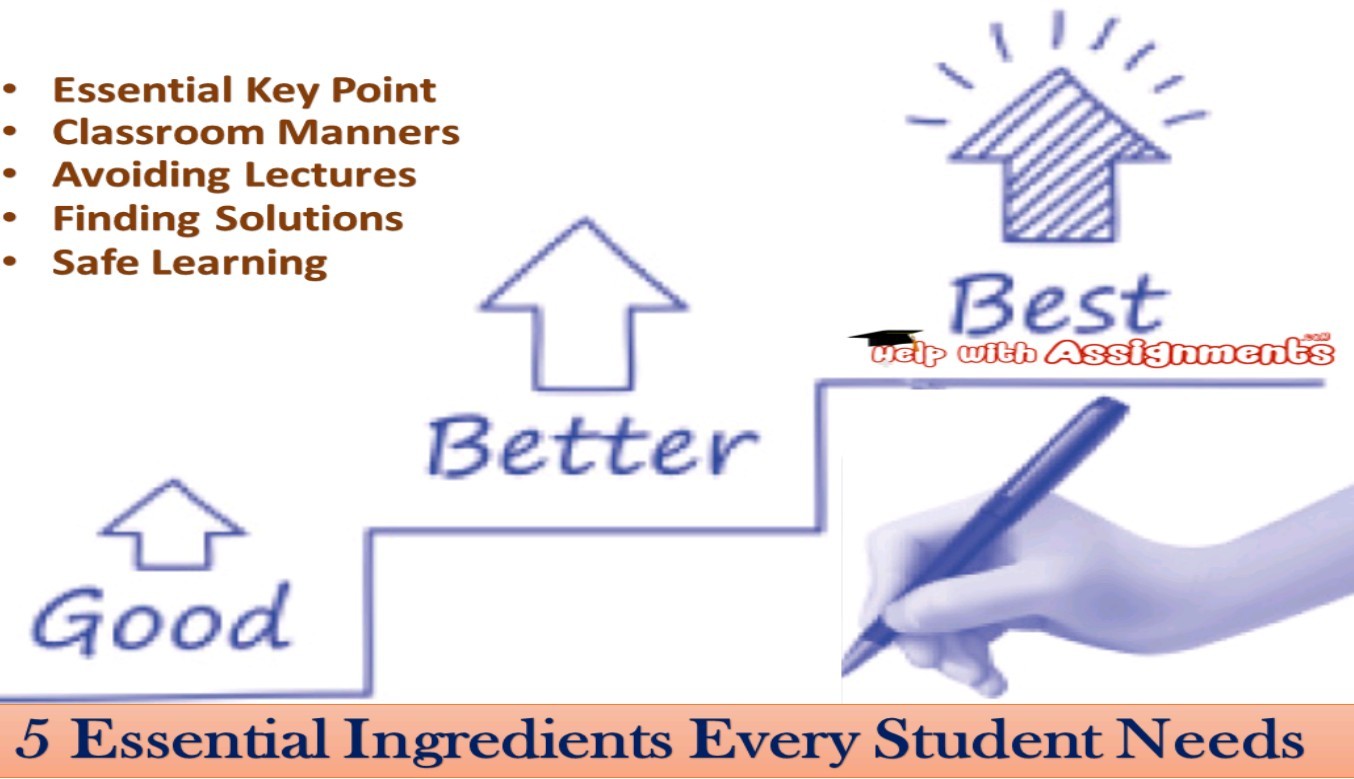 5 Essential Ingredients Every Student Needs